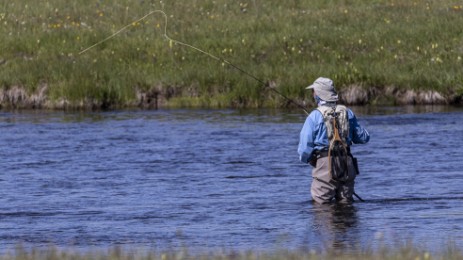 Angler am Gibbon River im Yellowstone NP